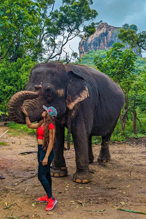 Lakmal Homestay ,10 Minutes To Sigiriya Rock Екстер'єр фото