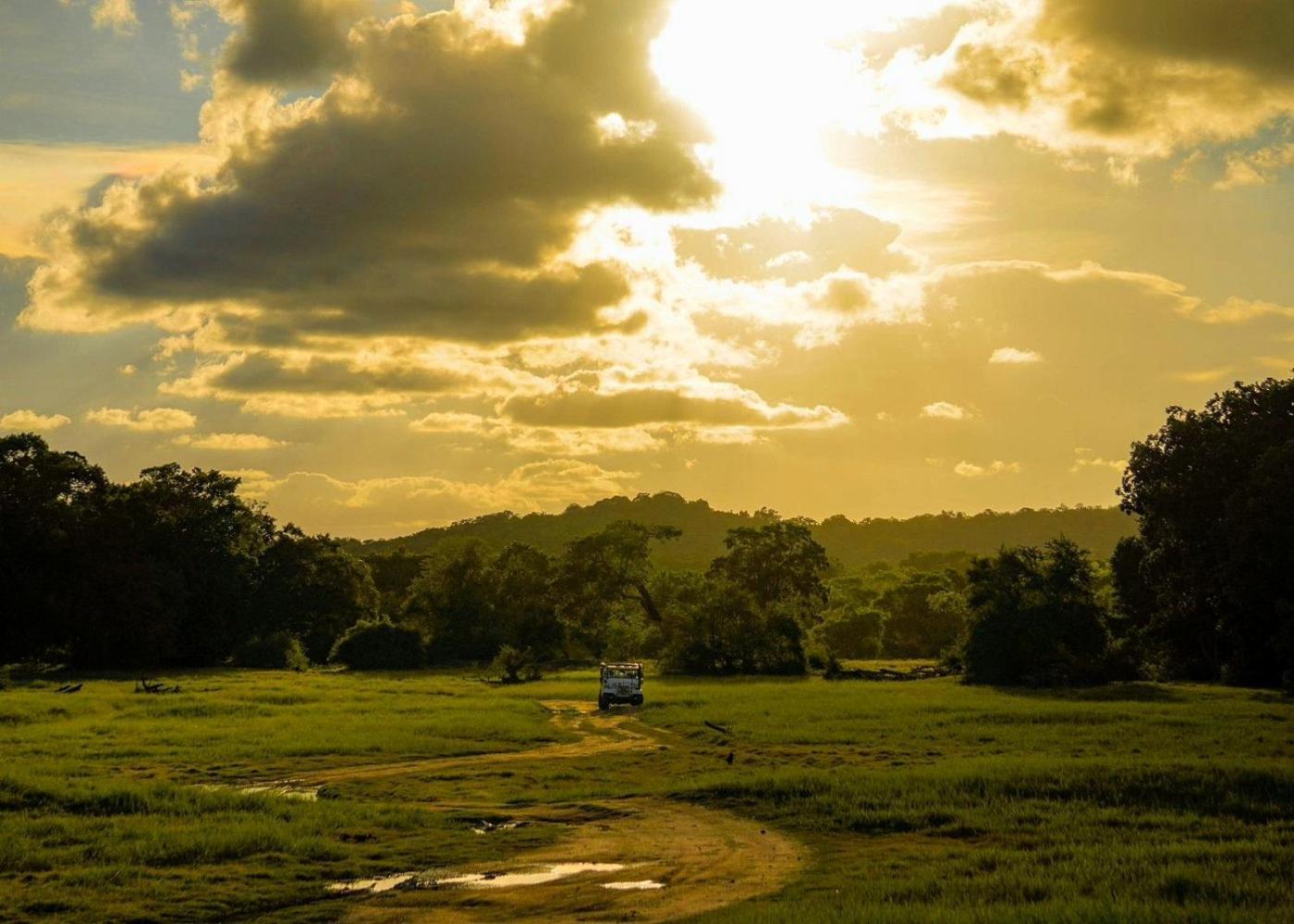 Lakmal Homestay ,10 Minutes To Sigiriya Rock Екстер'єр фото