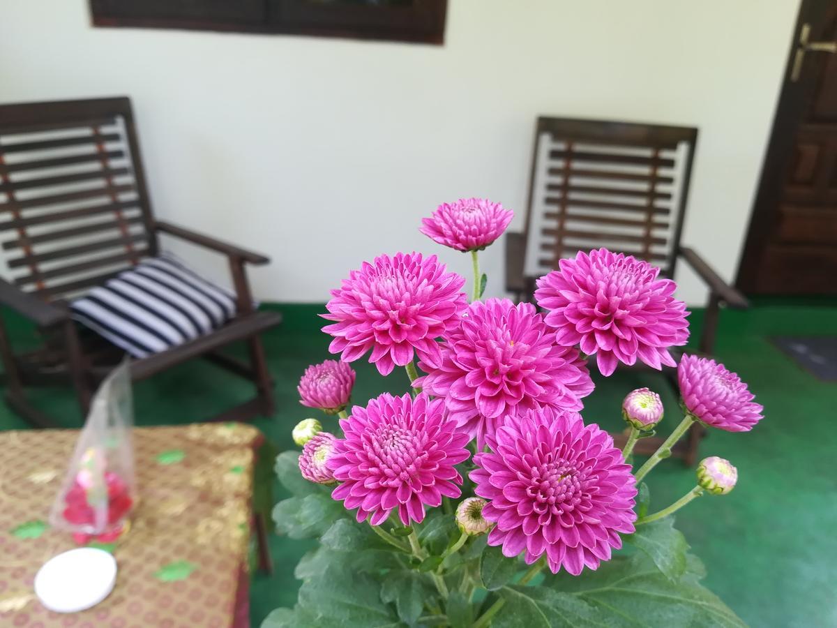 Lakmal Homestay ,10 Minutes To Sigiriya Rock Екстер'єр фото