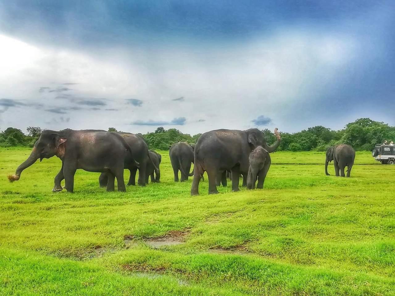 Lakmal Homestay ,10 Minutes To Sigiriya Rock Екстер'єр фото