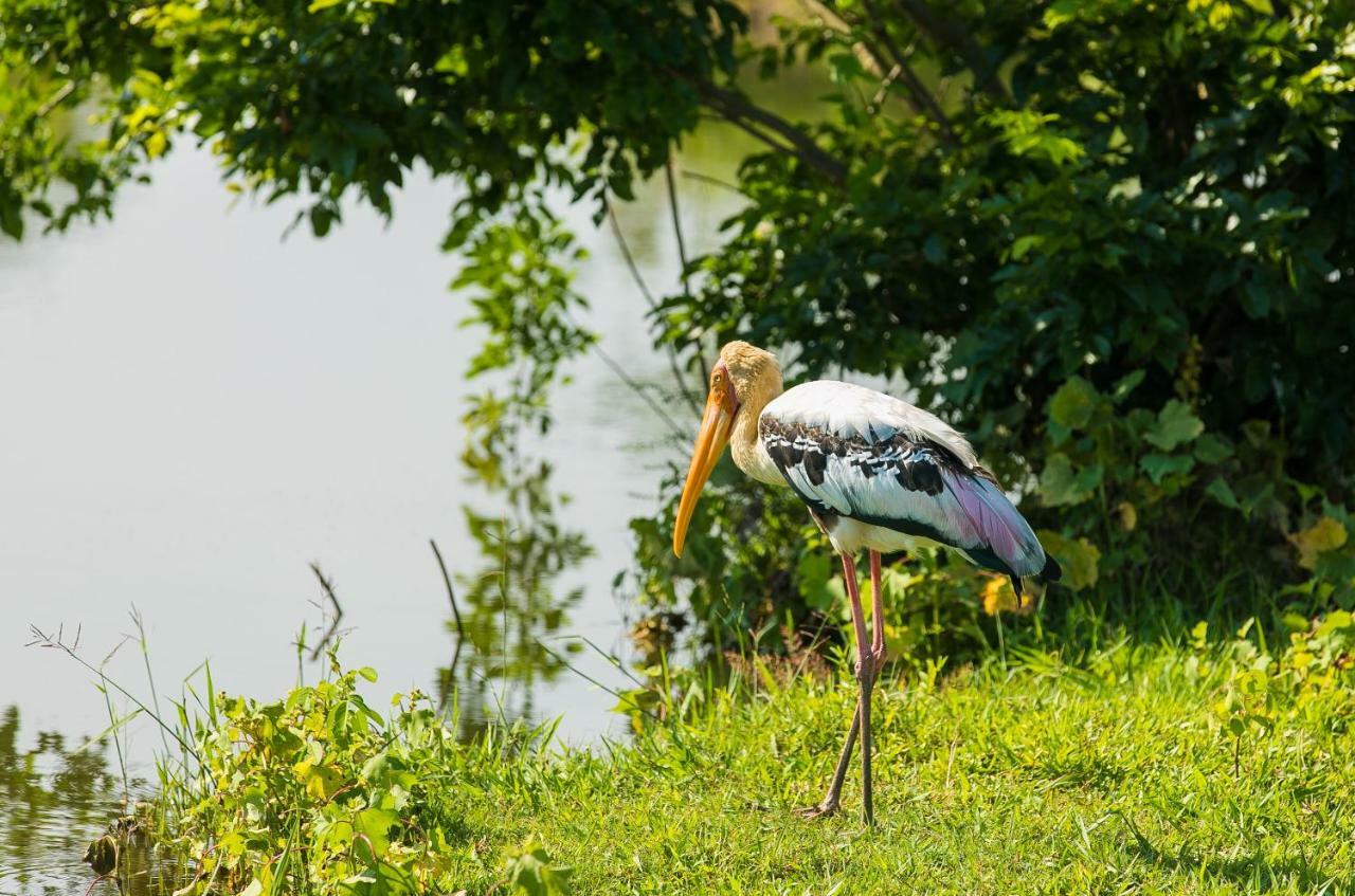 Lakmal Homestay ,10 Minutes To Sigiriya Rock Екстер'єр фото